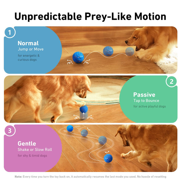 571460401