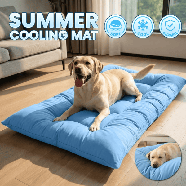 571463451